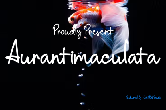 Aurantimaculata Font Review for Web Designers