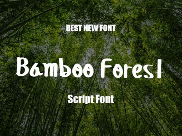Bamboo Forest: A Script Font for Editorial Design