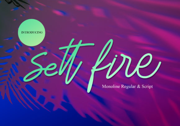 Sett Fire: A Script Font for Modern Web Design