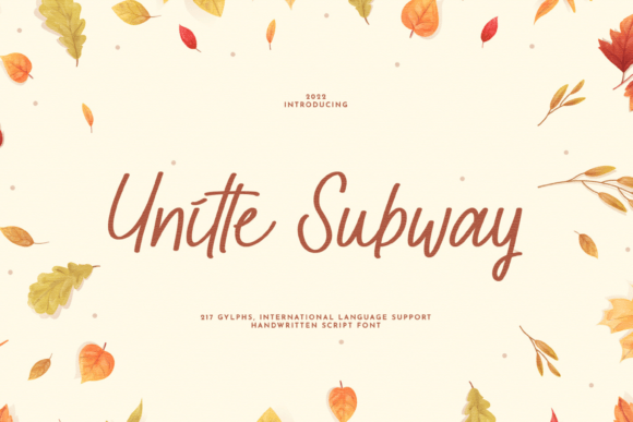 Unitte Subway: A Designer’s Review